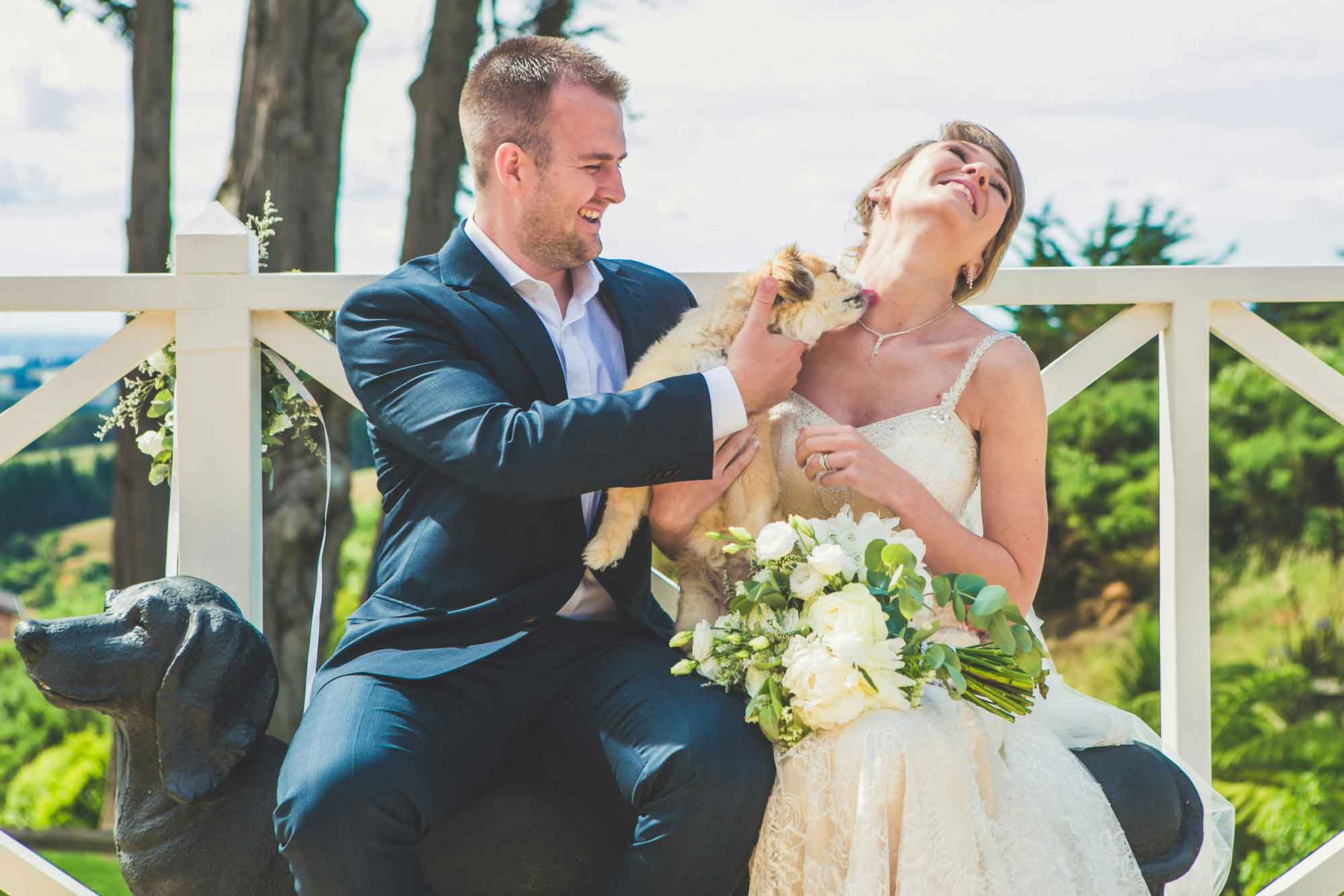 couple on their wedding day bride getting kissed by dog