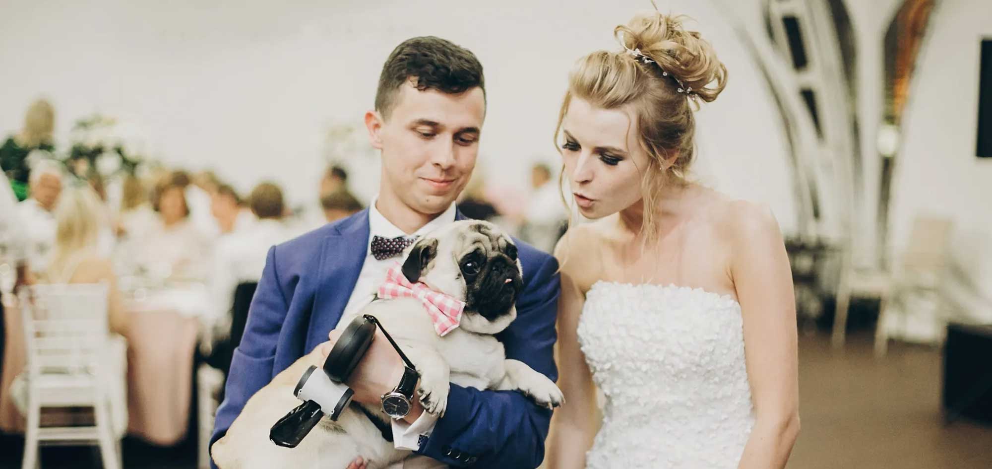 bride and groom holding their dog at their wedding