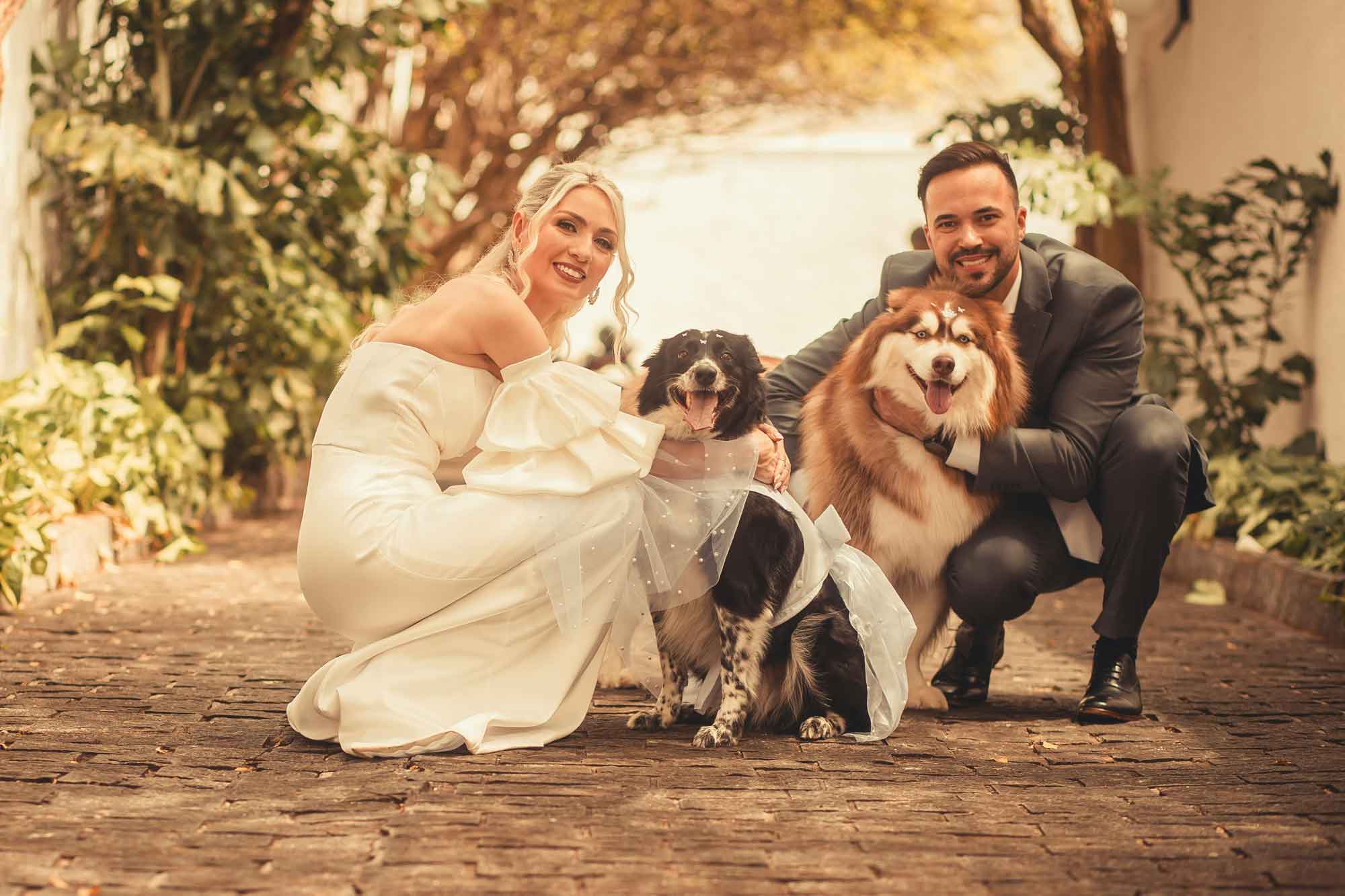 bride and groom with their dogs taking photos during golden hour