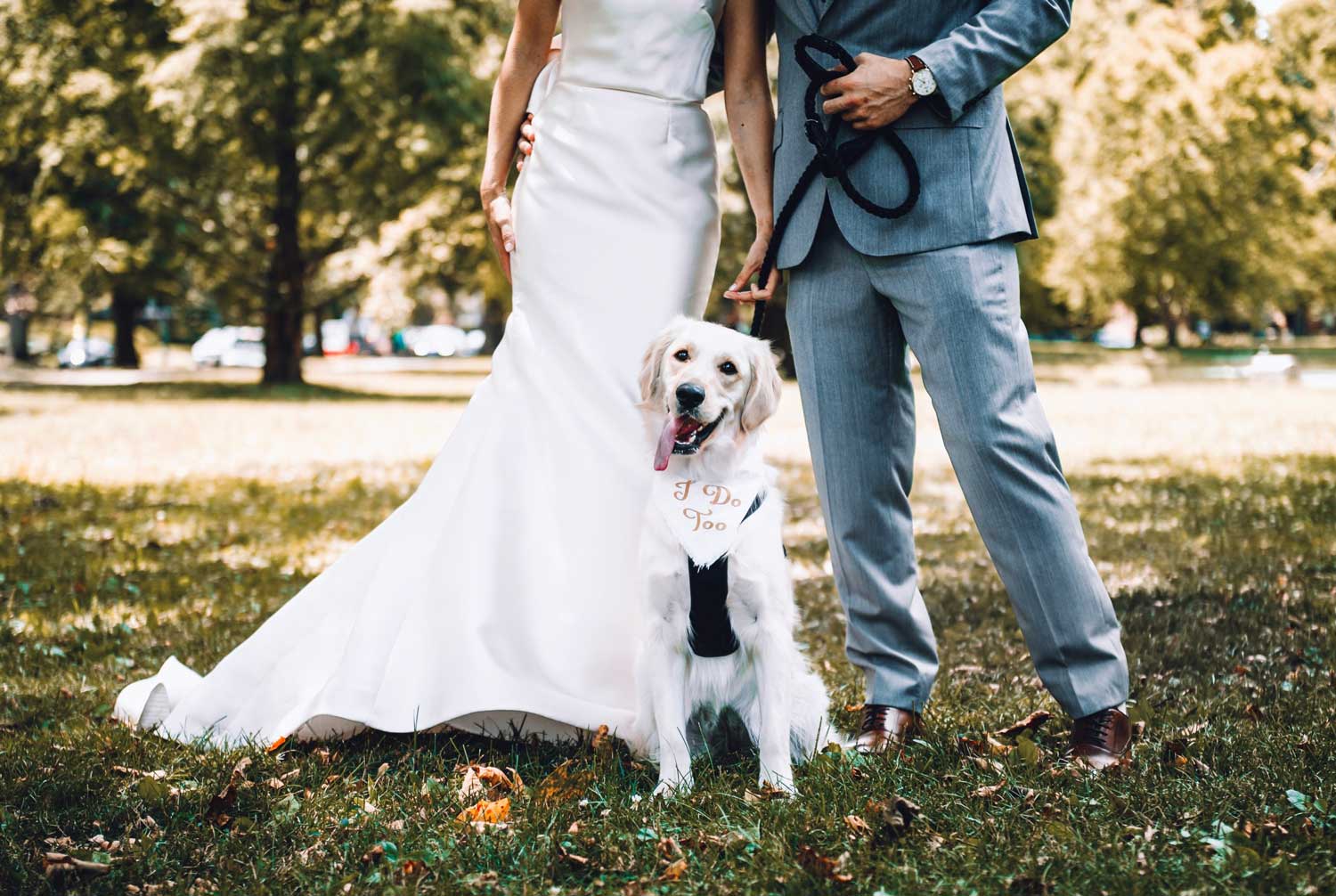 bride and groom on their wedding day with dog