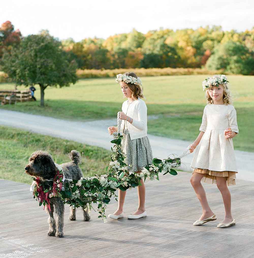 dog lead decorated with flowers for wedding