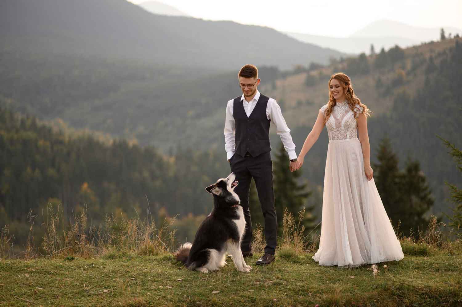 trained dog sitting at feet of bride and groom