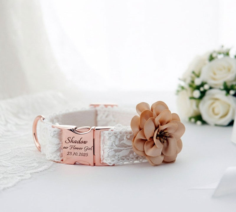 Classic Black Bow Tie Collar