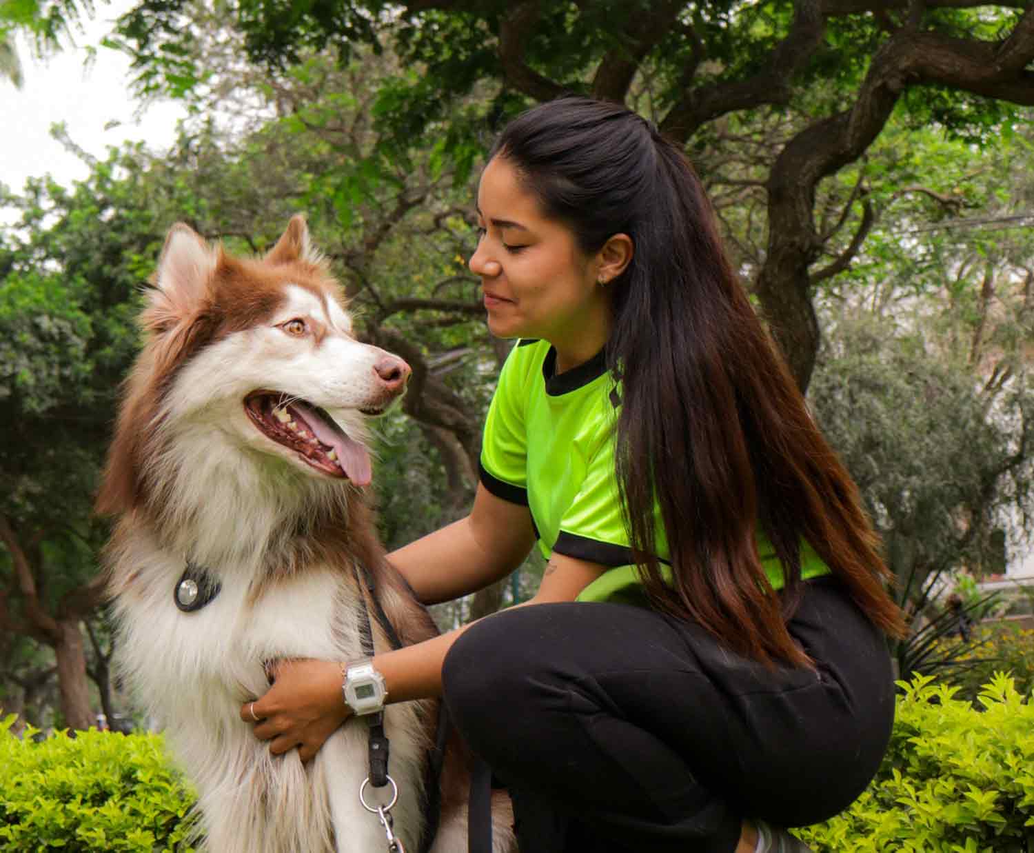 Should you hire a wedding dog chaperone?