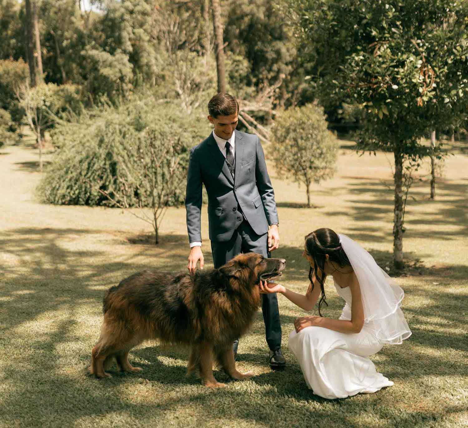 How to tell guests your dog is attending your wedding: wording &amp; tips