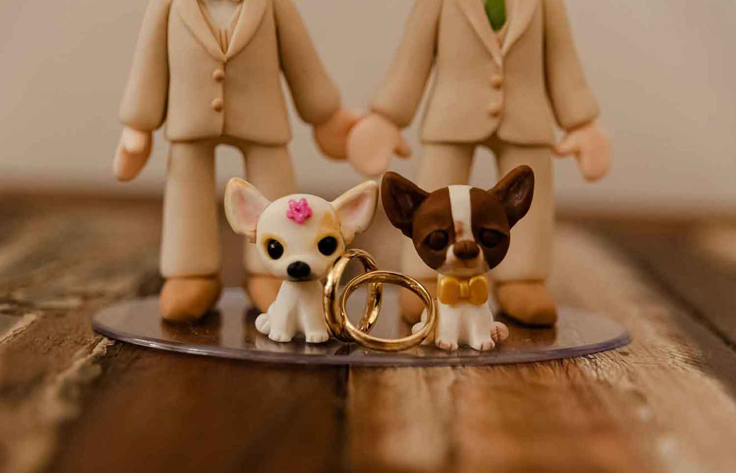 25 beautiful dog wedding decoration ideas to make your big day truly pawfect