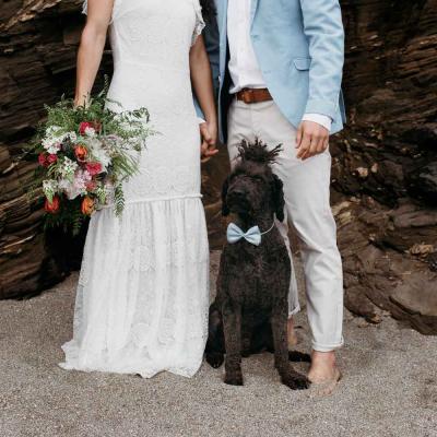 Bridal Couple Black Dog Wearing Blue Tie