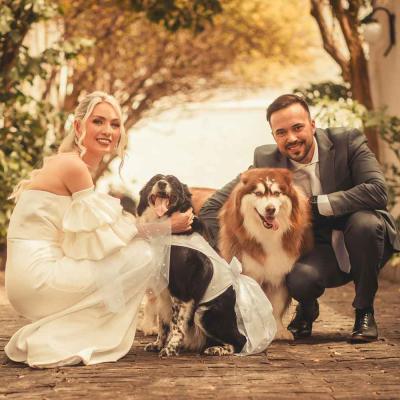 Bride And Groom With Dog Wearing Wedding Dress