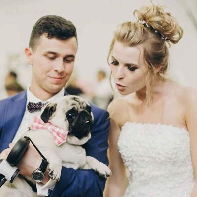 Bride And Groom With Pug Dog