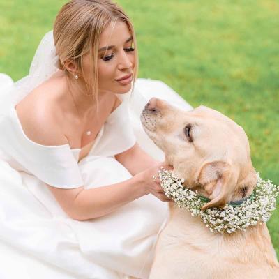 Bride With Dog Wearing Babys Breath Wedding Garland