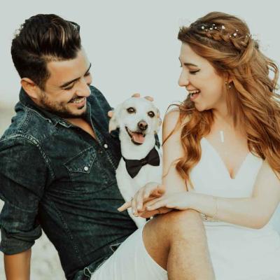 Casual Groom And Bride With Dog Sitting At Beach