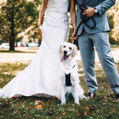 Dog Wearing I Do Too Bandana