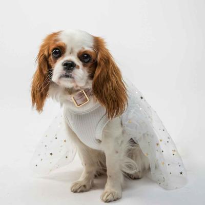 Dog Wearing White Sparkly Star Wedding Outfit