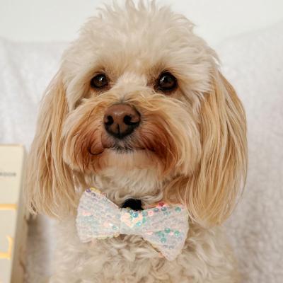 Sequin Bow Tie