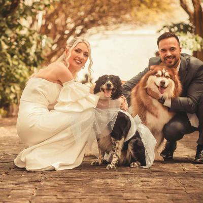 Bride And Groom Crouching With Two Dogs Wedding Day
