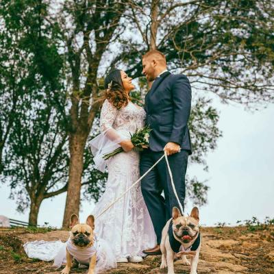 Bride And Groom With Their Two Dogs On Leads