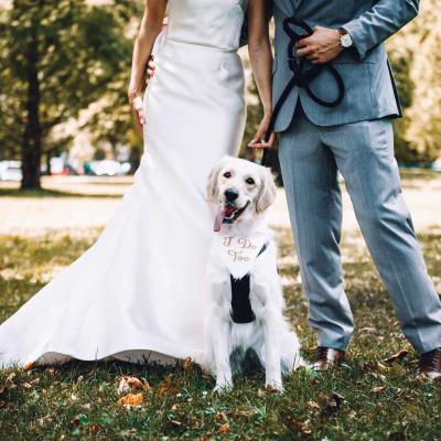 Bride and groom with dog wearing I Do Too Sign