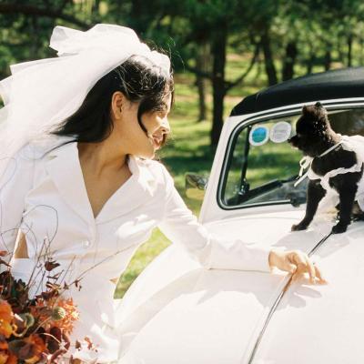 Bride Looking At Small Dog On Wedding Car