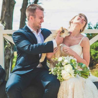 Couple With Dog On Their Wedding Day