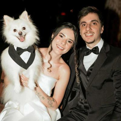 Matching dogs wedding outfit to theme