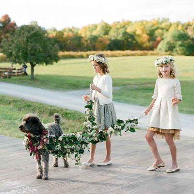 Dog with decorated lead for wedding