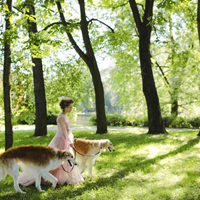 Woman In Pink Dress Walking Two Dogs In Park