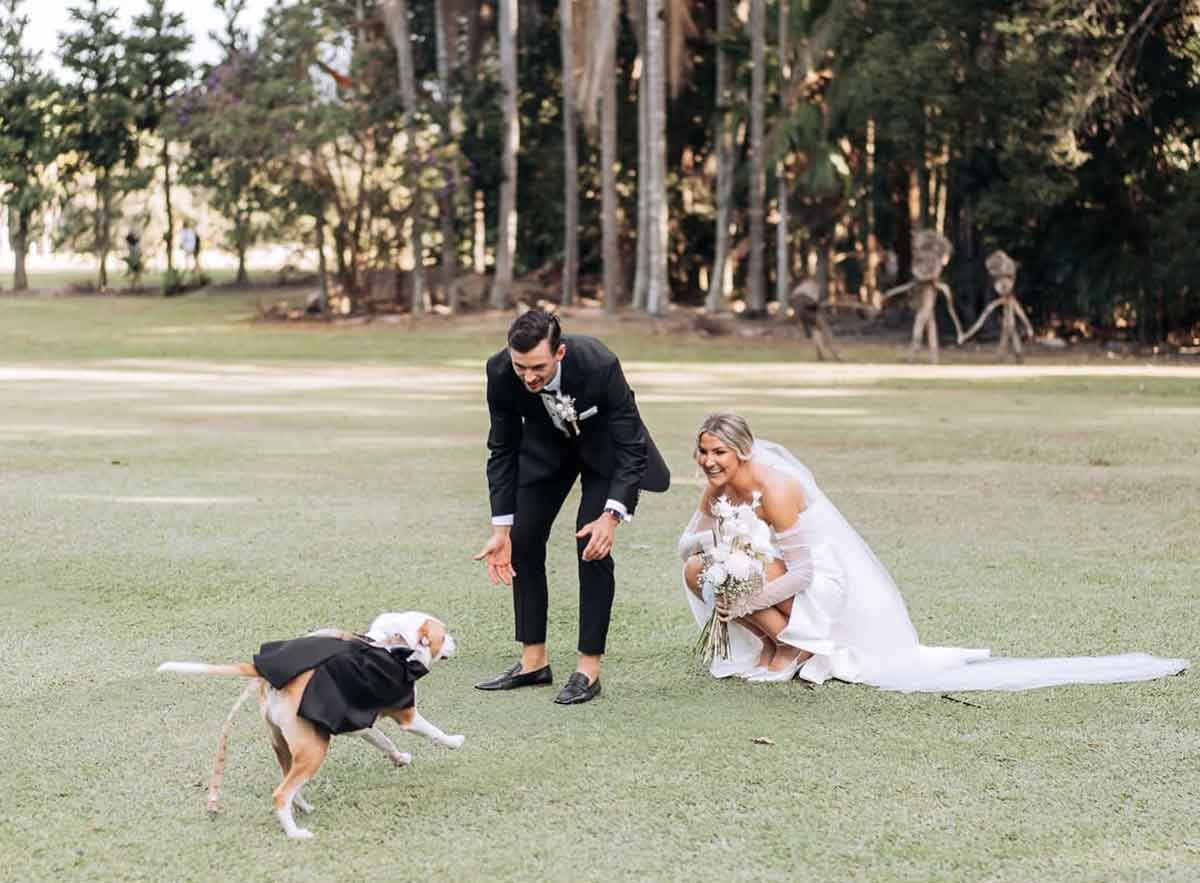 The-Acre-Boomerang-Hills-dog-friendly-wedding-venue-Gold-Coast-Hinterland-01