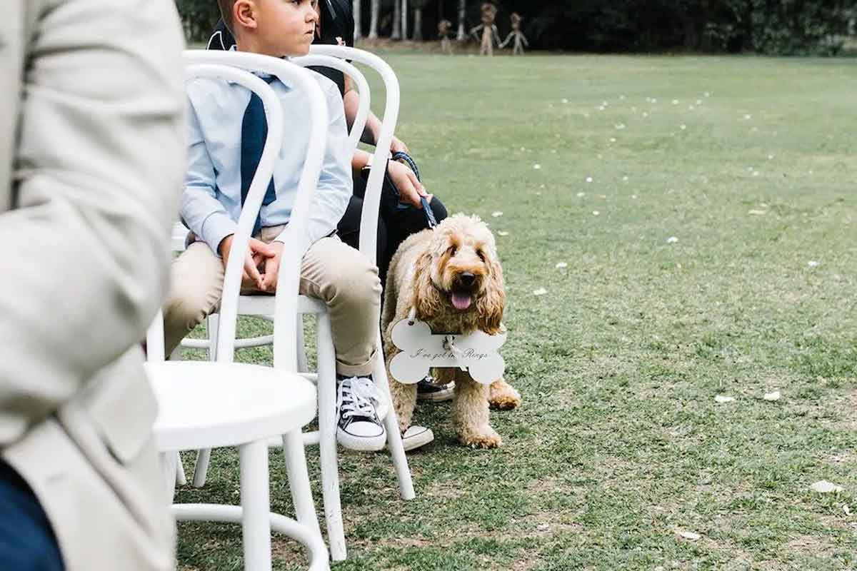 The-Acre-Boomerang-Hills-dog-friendly-wedding-venue-Gold-Coast-Hinterland-01
