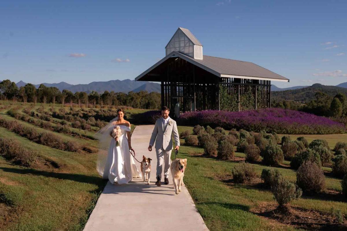 Kooroomba Vineyard - dog-friendly wedding venue Ipswich Brisbane Gold Coast