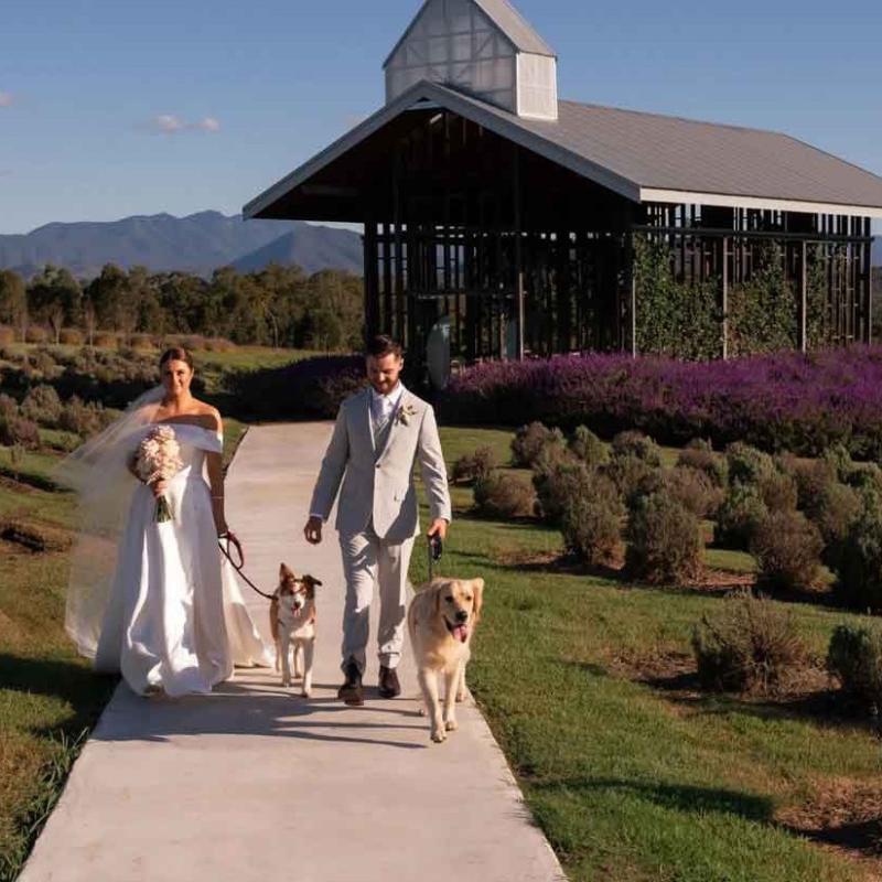 Kooroomba Vineyard