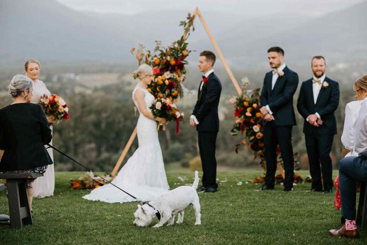 Riverstone Estate - dog-friendly wedding venue Yarra Valley