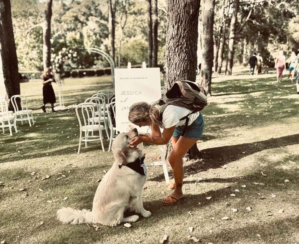 Gypsea Tails - wedding dog sitter Margaret River