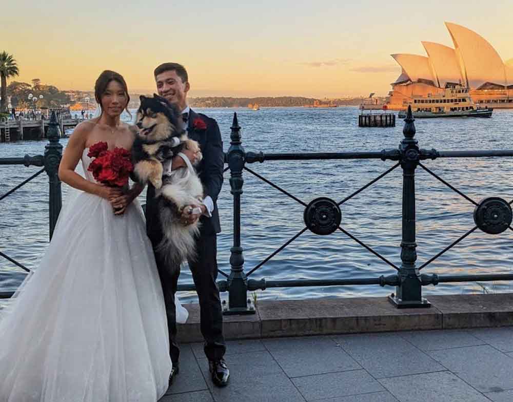 Sit Stay Play - wedding dog sitter Campbelltown