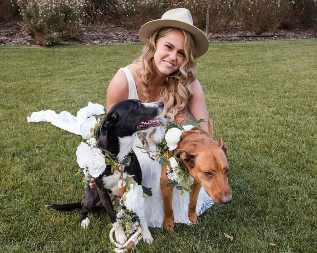 Sit Stay Play - wedding dog sitter Campbelltown