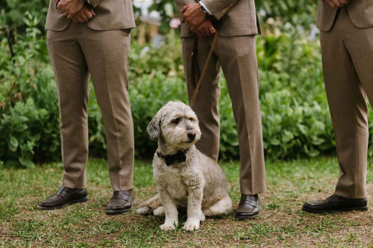 AL RU Farm - dog-friendly wedding venue Adelaide