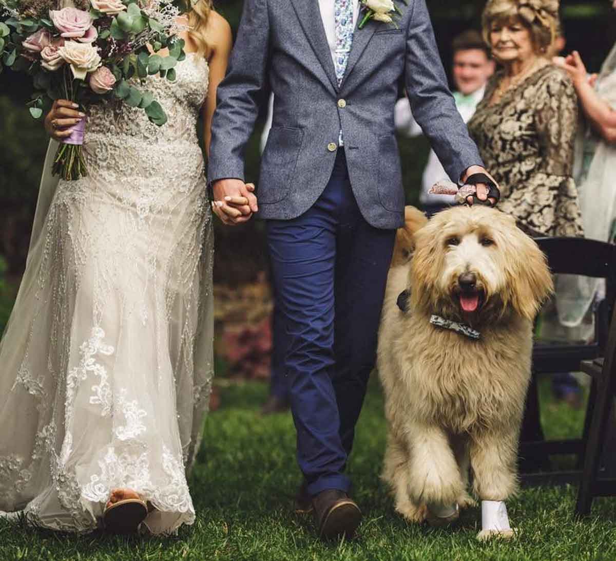Inglewood Inn - dog-friendly wedding venue Adelaide Hills