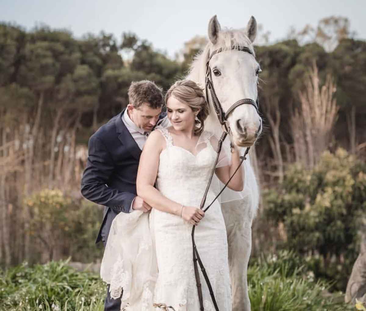 Hawley House - dog-friendly wedding venue Devonport