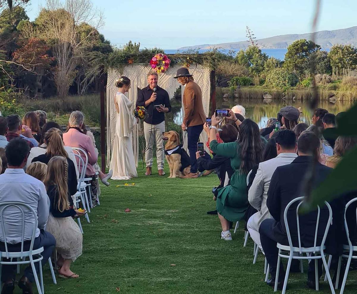 Hawley House - dog-friendly wedding venue Devonport