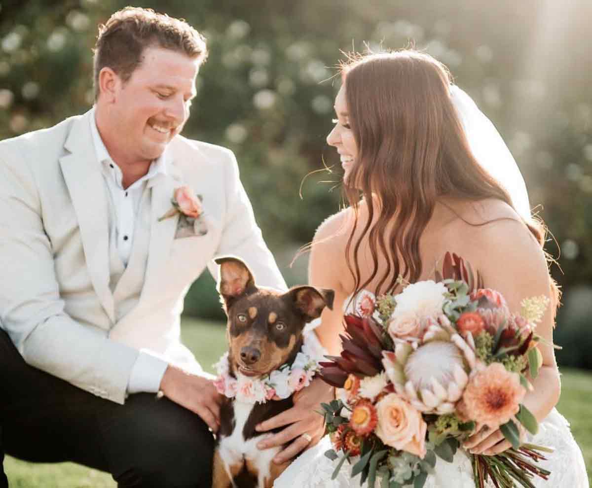 Mrs Barker's Pet Services - wedding day dog chaperone Melbourne