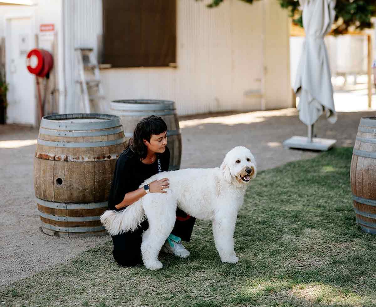 Mrs Barker's Pet Services - wedding day dog chaperone Melbourne