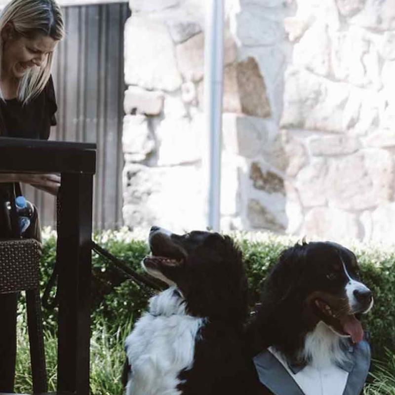 4Paws Pet Sitting