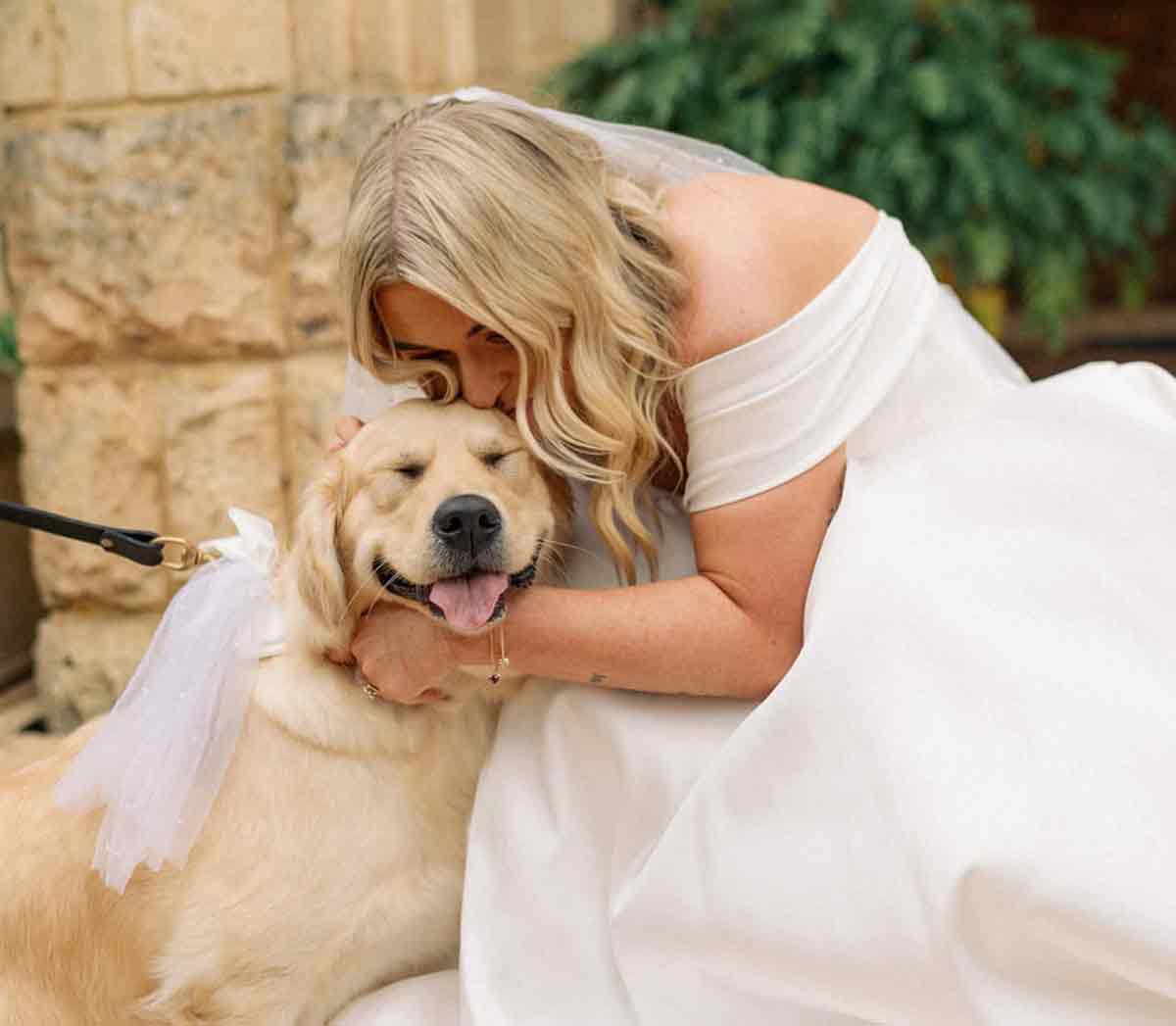 Wedding Tails WA	- wedding dog chaperone Perth