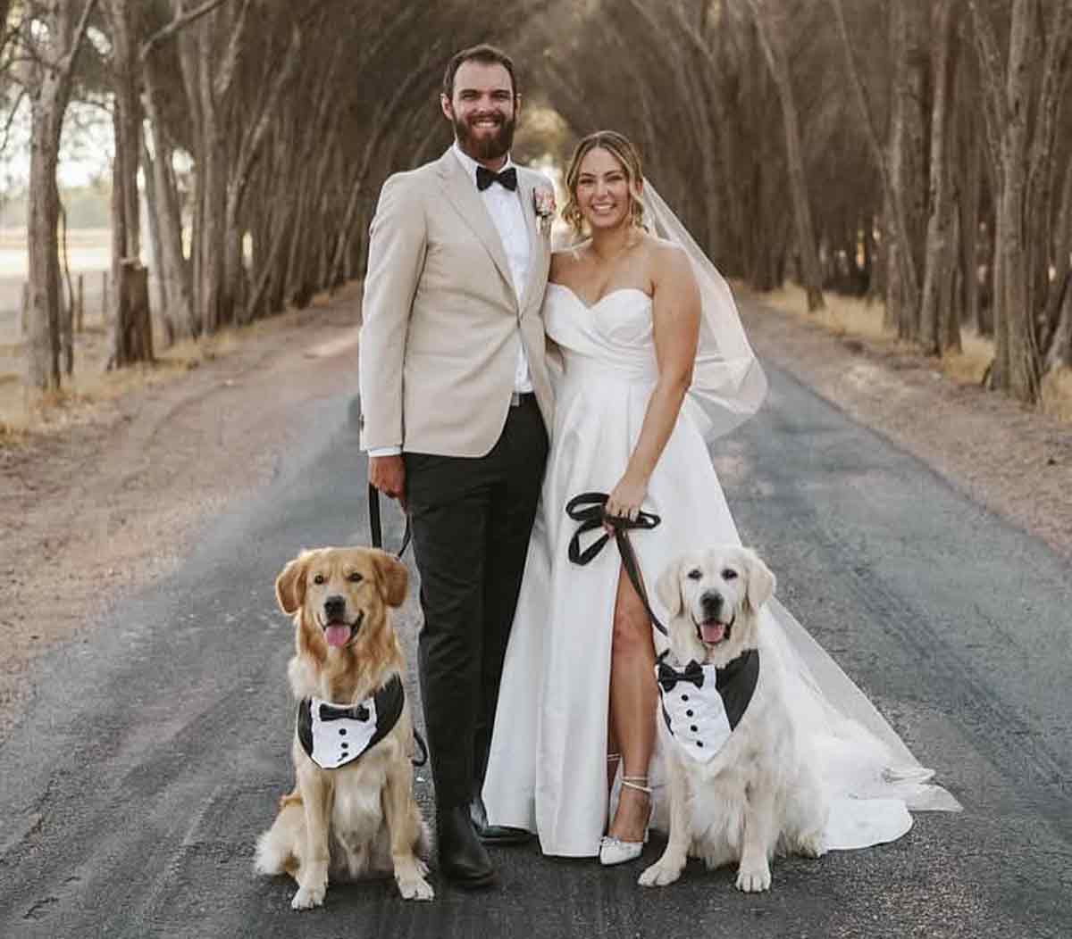 Wedding Tails WA	- wedding dog chaperone Perth