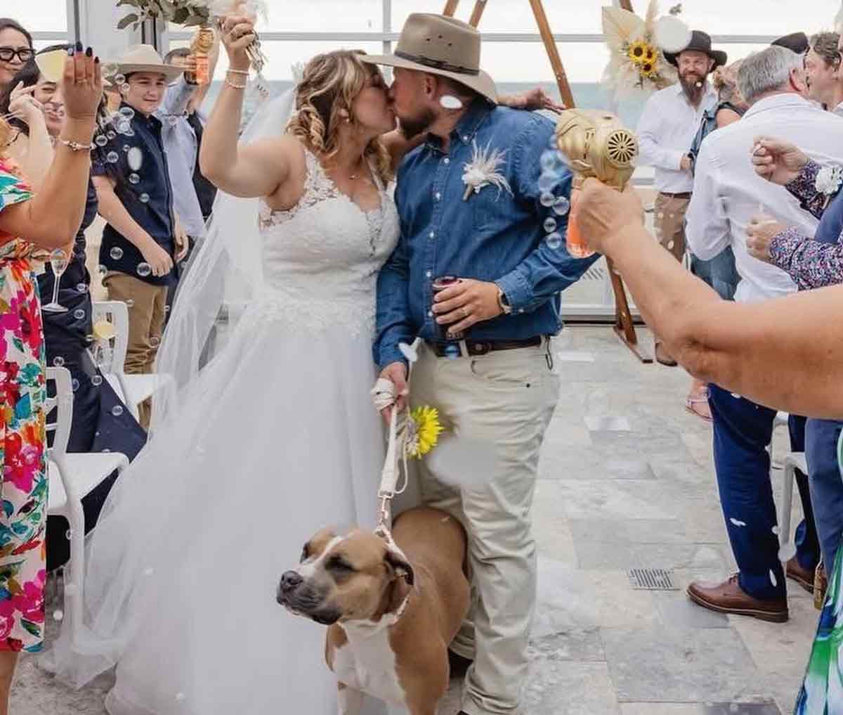 Wedding Woofs - wedding day dog chaperone Perth