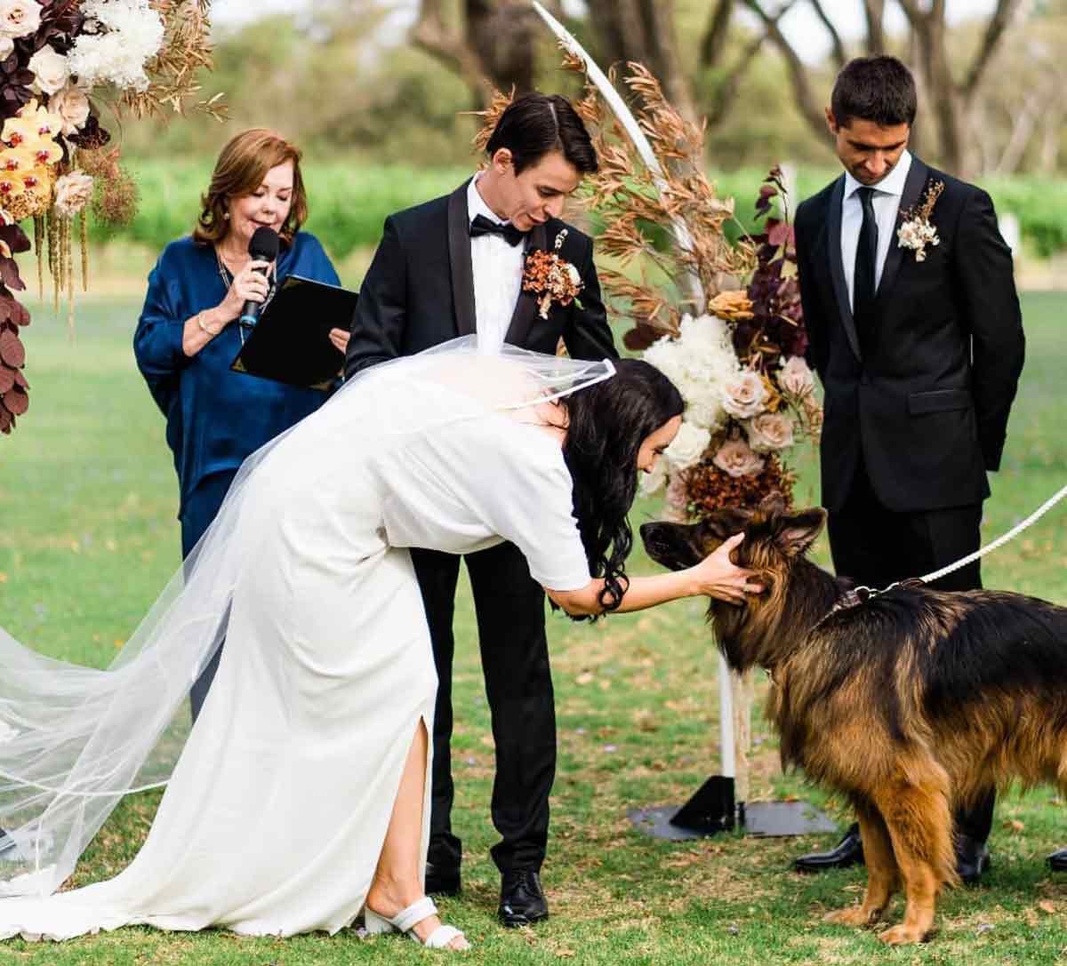 Walks & Borks - wedding day dog chaperone Perth