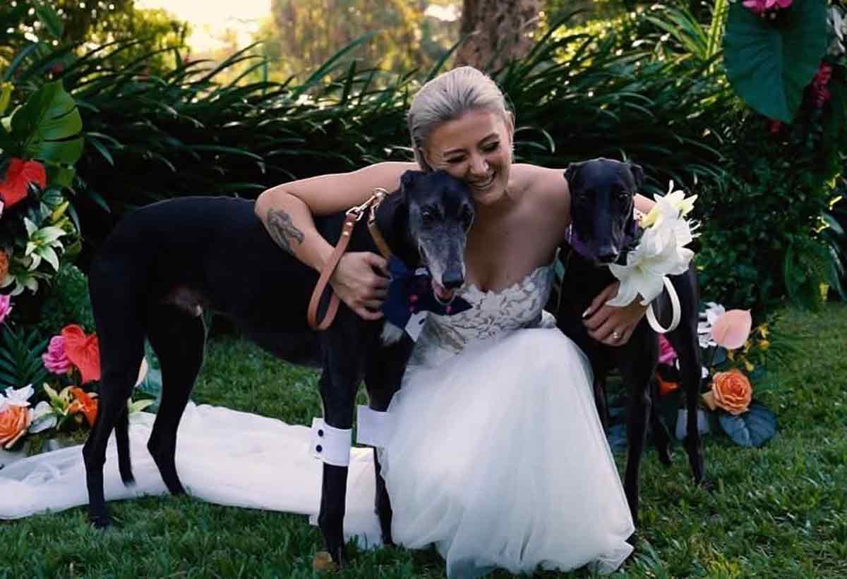 Paws, Claws & More - wedding dog sitter Darwin