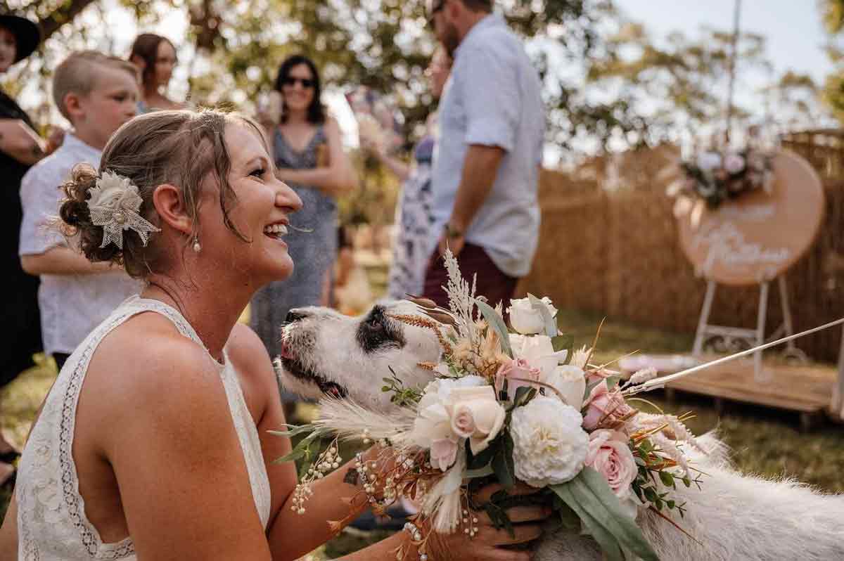 Paws, Claws & More - wedding dog sitter Darwin