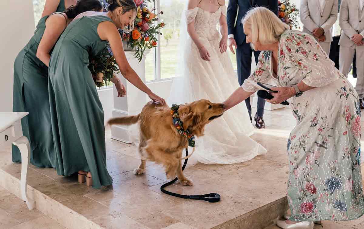 Celebrant in Style - Robyn Paterson - dog-friendly wedding Perth