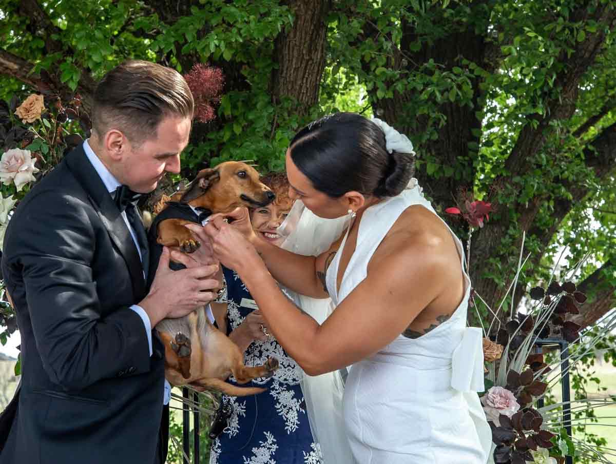 Taylored Celebrations - dog-friendly wedding Canberra
