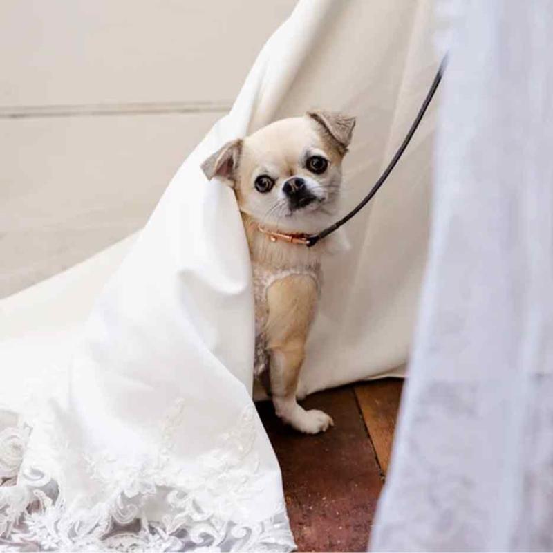 Molly Burmeister Photography